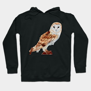 Barn owl Hoodie